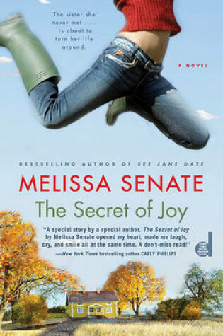 Cover of The Secret of Joy