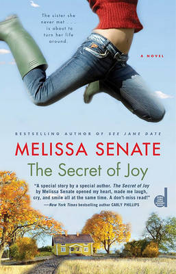 Book cover for The Secret of Joy