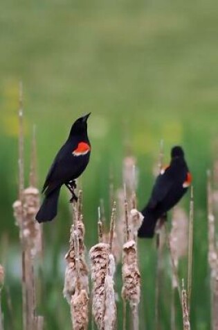 Cover of Two Red Winged Blackbirds in the Meadow Journal