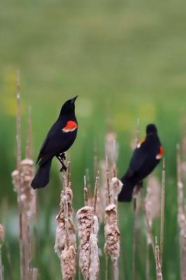 Book cover for Two Red Winged Blackbirds in the Meadow Journal