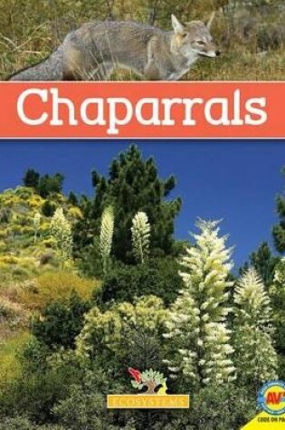 Cover of Chaparrals with Code