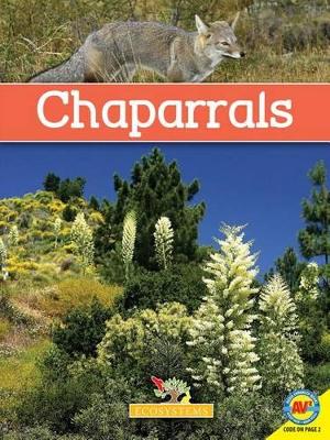 Book cover for Chaparrals with Code