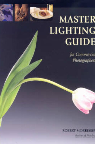 Cover of Master Lighting Guide