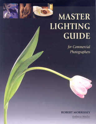 Book cover for Master Lighting Guide