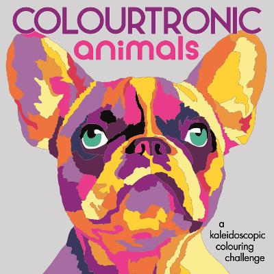 Book cover for Colourtronic Animals