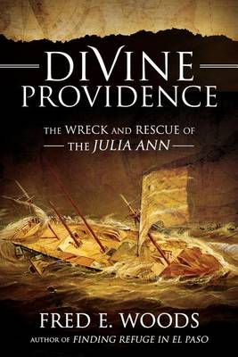 Book cover for Divine Providence