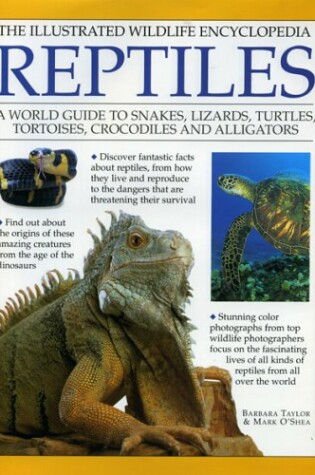 Cover of Reptiles