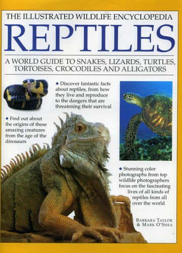 Book cover for Reptiles