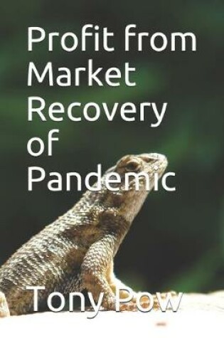 Cover of Profit from Market Recovery of Pandemic