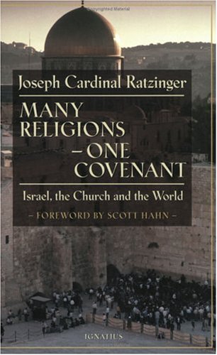 Book cover for Many Religions - One Covenant