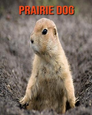 Book cover for Prairie Dog