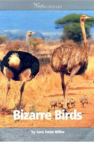 Cover of Bizarre Birds
