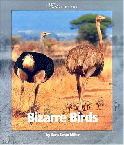 Book cover for Bizarre Birds