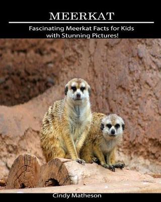 Book cover for Meerkat