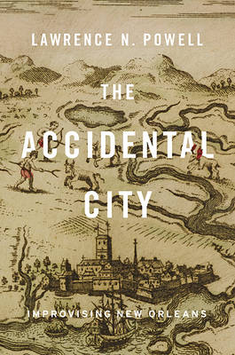 Book cover for The Accidental City