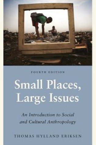 Cover of Small Places, Large Issues