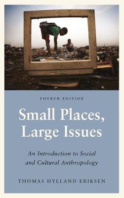 Book cover for Small Places, Large Issues