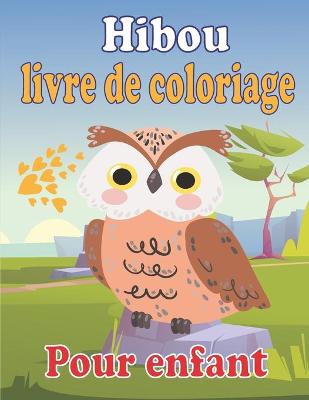 Book cover for Hibou livre de coloriage pour enfant