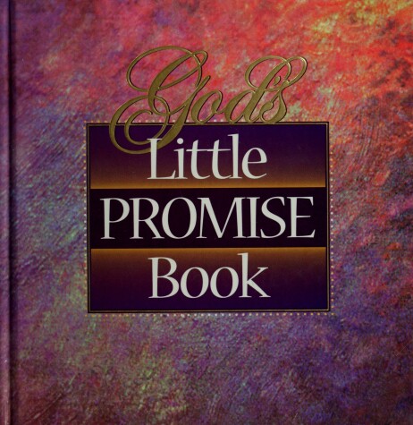 Book cover for God's Little Promise Book