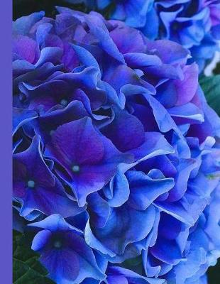 Book cover for Blue & Purple Hydrangea Blank Writing Notebook