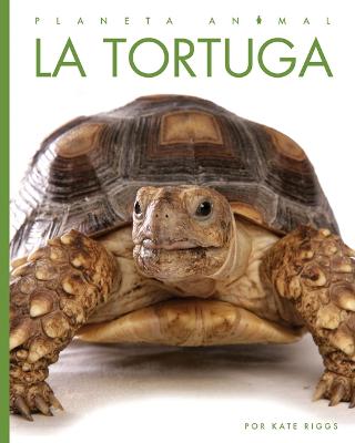 Book cover for La Tortuga