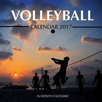 Book cover for Volleyball Calendar 2017