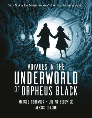 Cover of Voyages in the Underworld of Orpheus Black