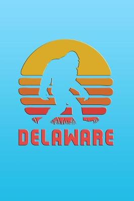 Book cover for Delaware