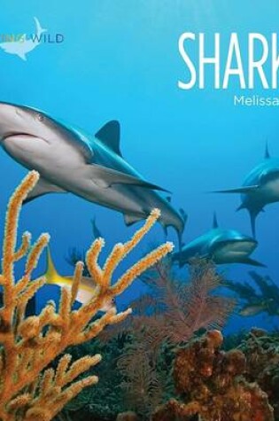 Cover of Sharks