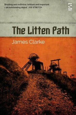 Cover of The Litten Path