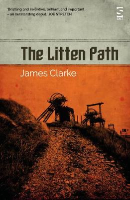 Book cover for The Litten Path