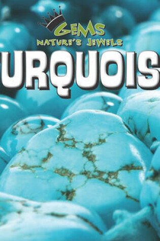 Cover of Turquoise