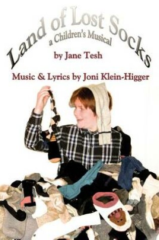 Cover of Land of Lost Socks