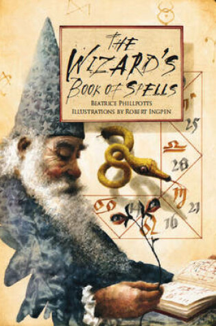 Cover of The Wizard's Book of Spells