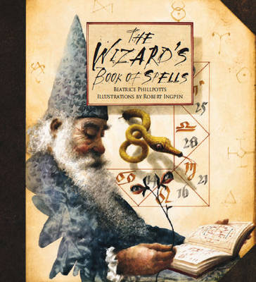 Book cover for The Wizard's Book of Spells