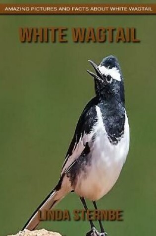 Cover of White Wagtail