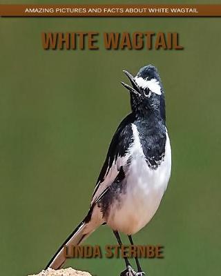 Book cover for White Wagtail