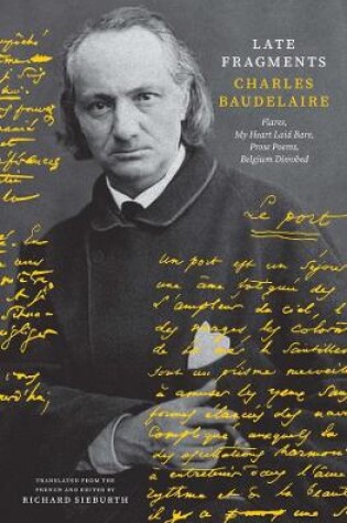 Cover of Late Fragments