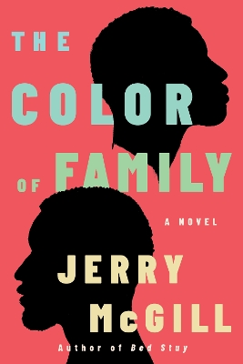 Book cover for The Color of Family