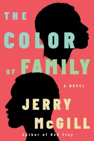 Cover of The Color of Family