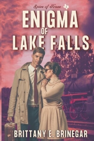Cover of Enigma of Lake Falls