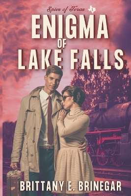 Cover of Enigma of Lake Falls