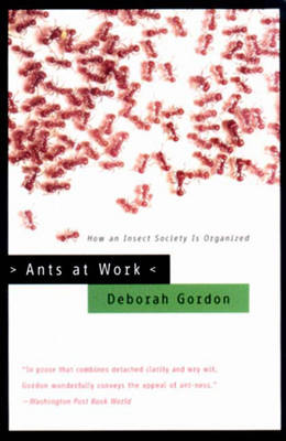 Book cover for Ants at Work