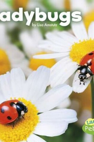 Cover of Ladybugs (Little Critters)