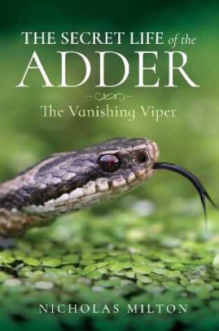 Cover of The Secret Life of the Adder