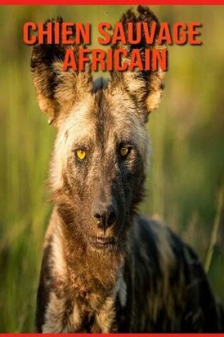 Cover of Chien Sauvage Africain