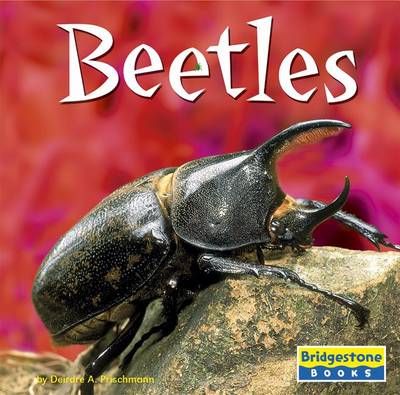 Book cover for Beetles