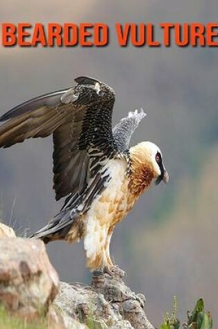 Cover of Bearded Vulture