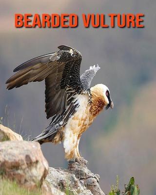 Book cover for Bearded Vulture