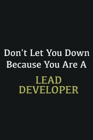 Cover of Don't let you down because you are a Lead developer